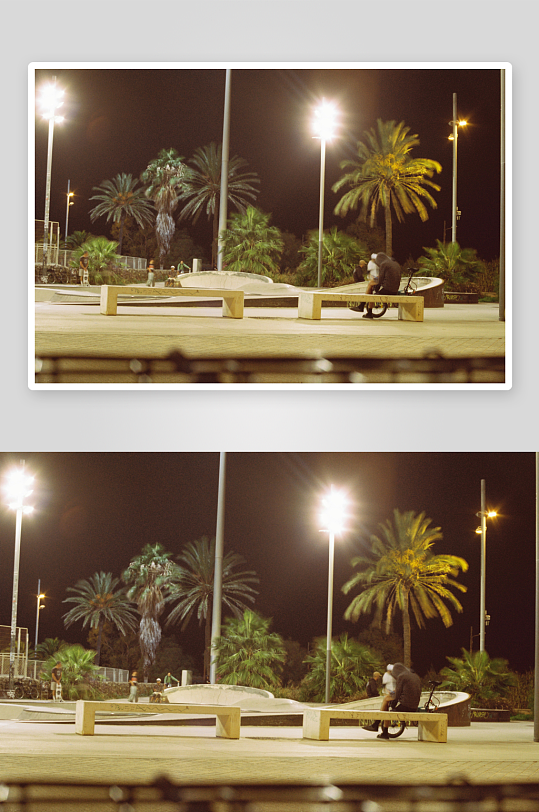 夜晚公园长椅旁的猫-众图网