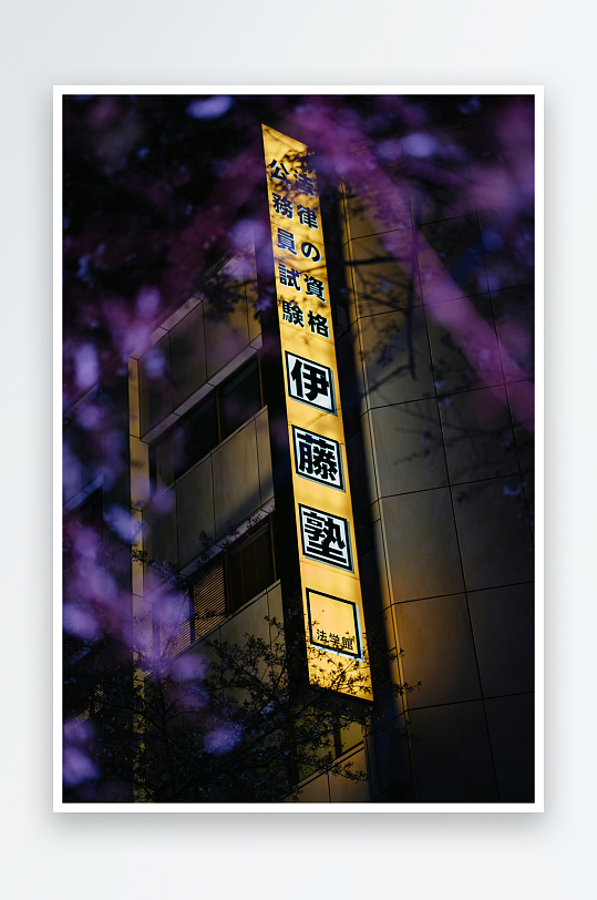 夜晚建筑上的日文招牌-众图网
