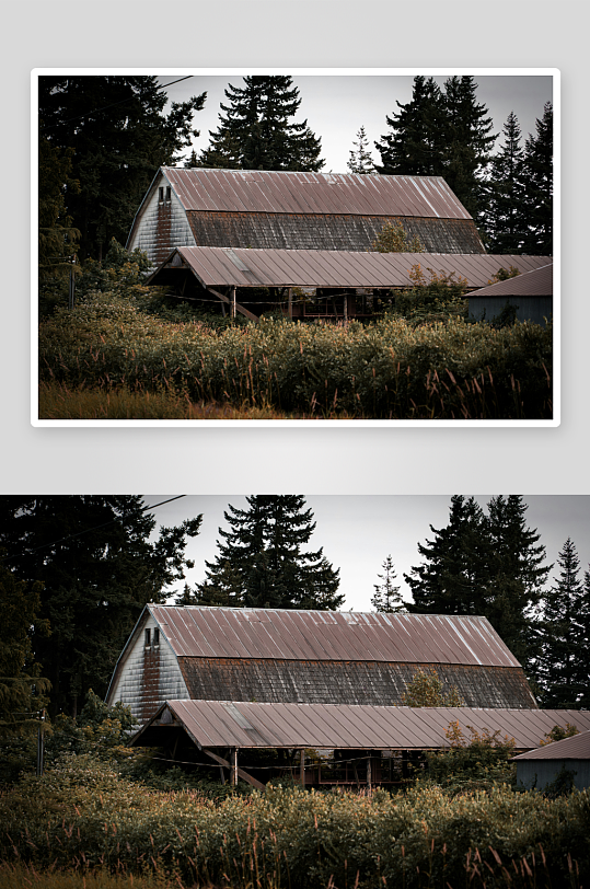 乡村旧谷仓与茂密植被-众图网