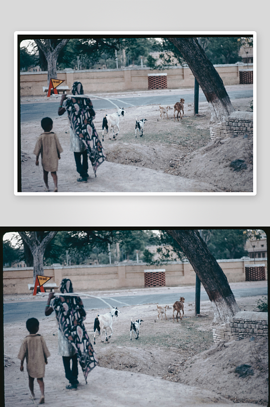 乡村道路上的行人与动物-众图网