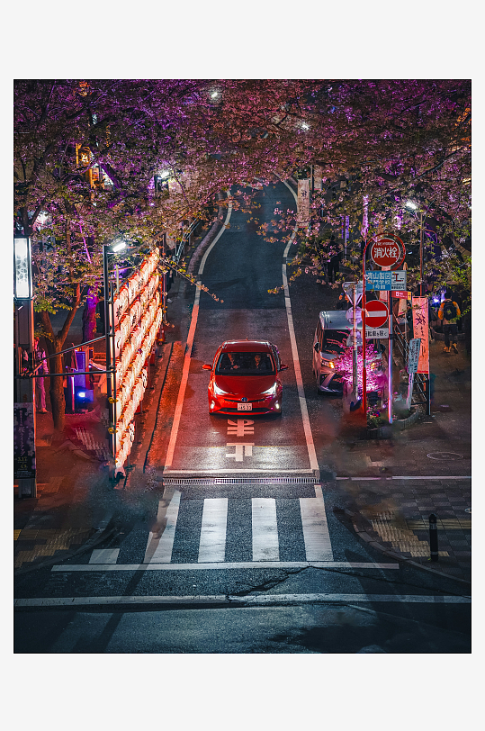 夜樱街景中的红色轿车-众图网