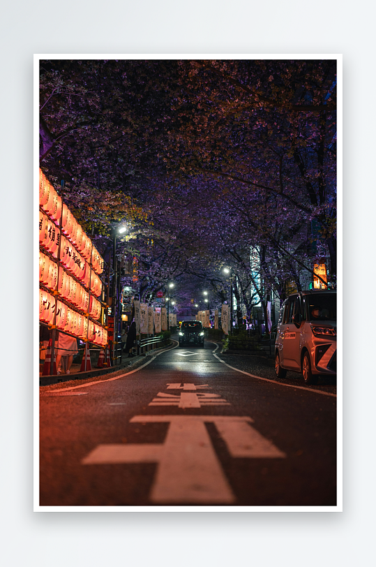 夜樱街道灯光映照-众图网