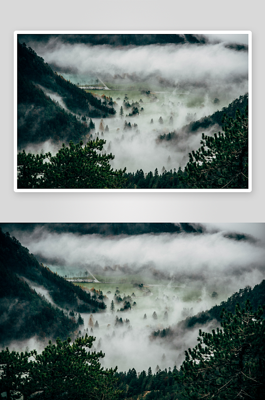云雾缭绕的山谷森林-众图网
