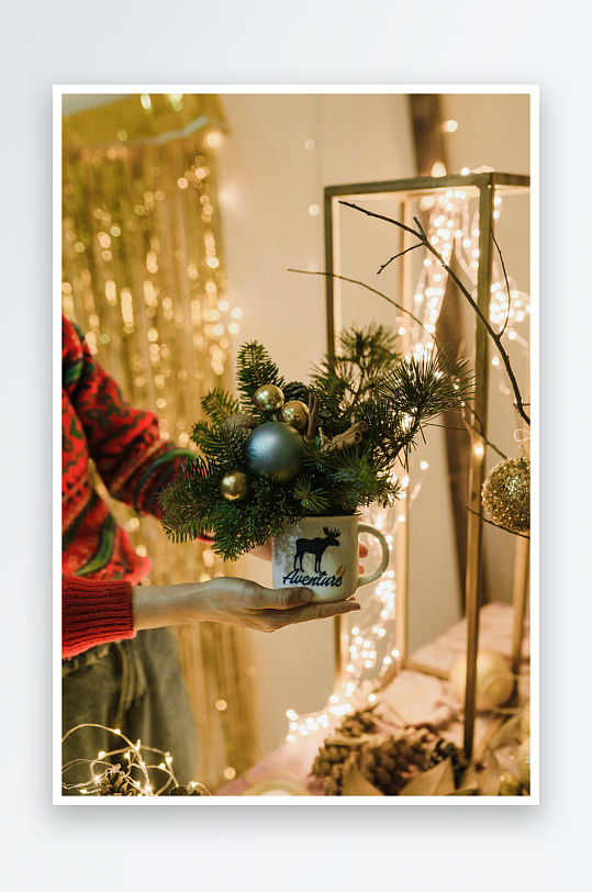 圣诞装饰花束手持展示-众图网