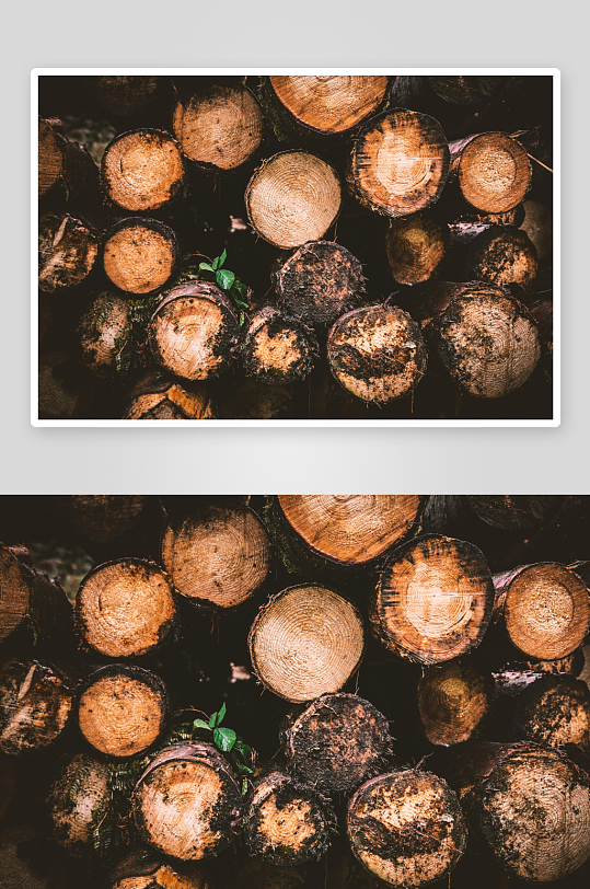 堆叠原木纹理特写-众图网