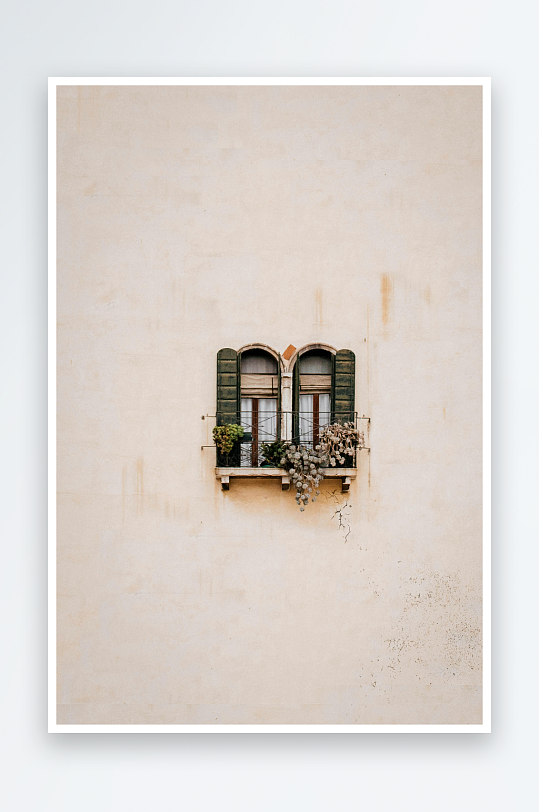 米色墙上的双窗绿植-众图网