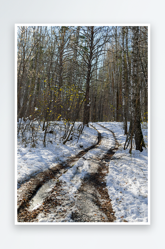 雪地林间小径蜿蜒曲折-众图网