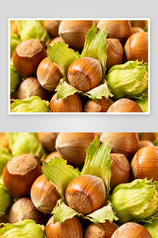 新鲜榛果特写展示-众图网