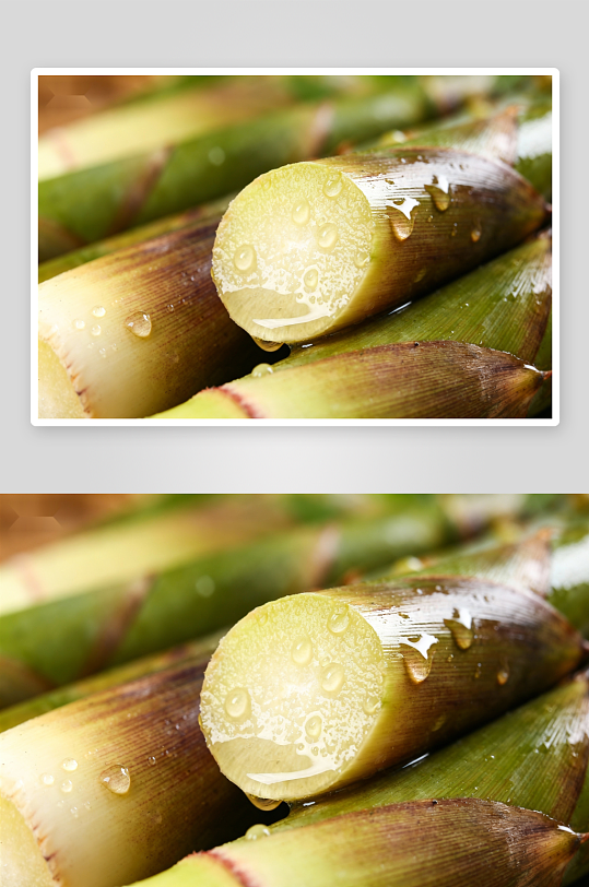 新鲜竹笋特写水珠晶莹-众图网