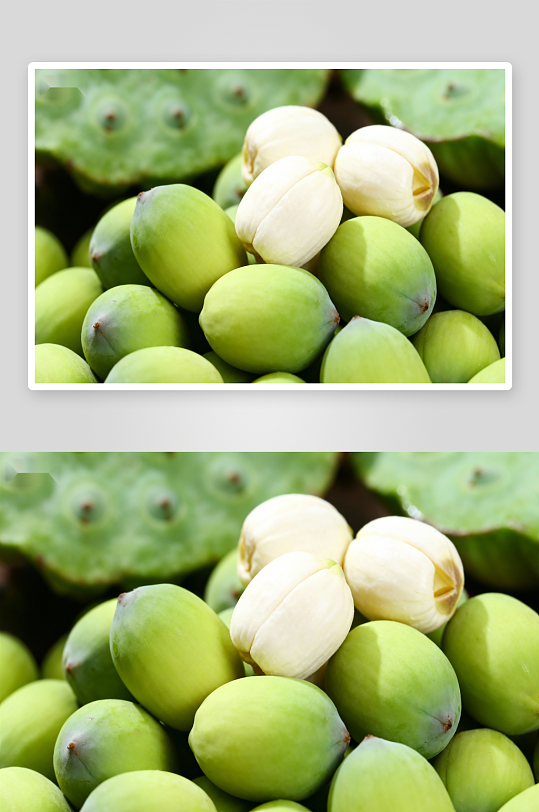 新鲜莲子与莲蓬特写-众图网