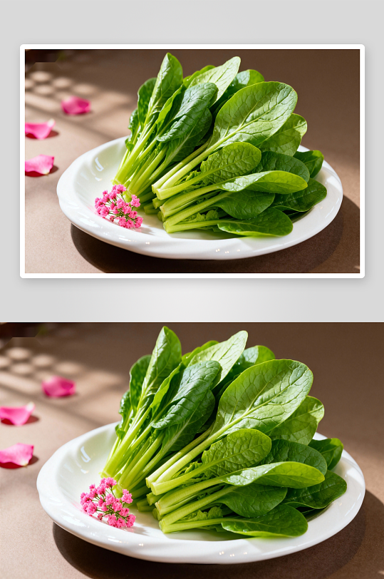 新鲜菠菜摆盘点缀鲜花-众图网