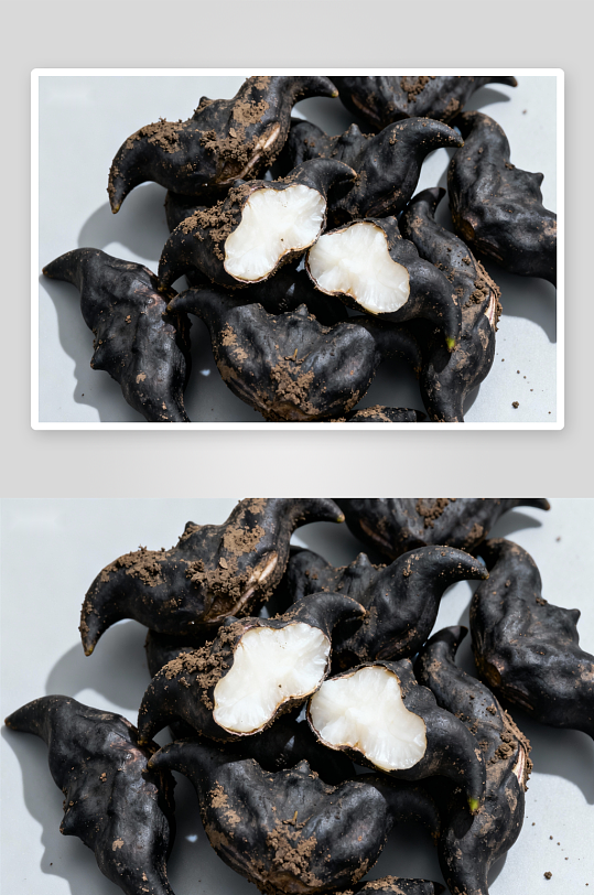 新鲜黑菱角特写照片摄影-众图网