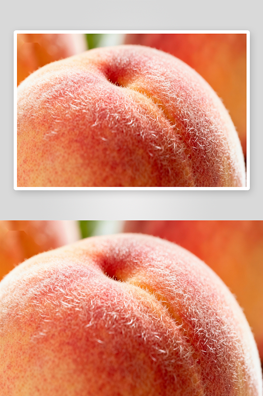 桃子特写毛茸茸果皮诱人-众图网