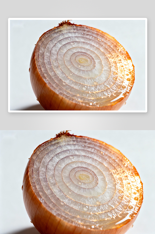 洋葱切面特写晶莹剔透-众图网
