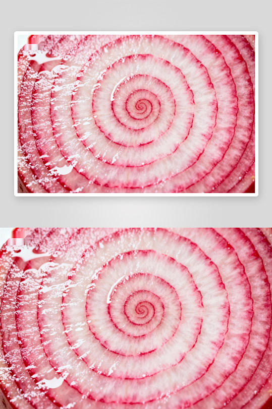 洋葱切面螺旋纹理特写-众图网