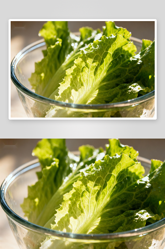 玻璃碗中新鲜生菜特写-众图网