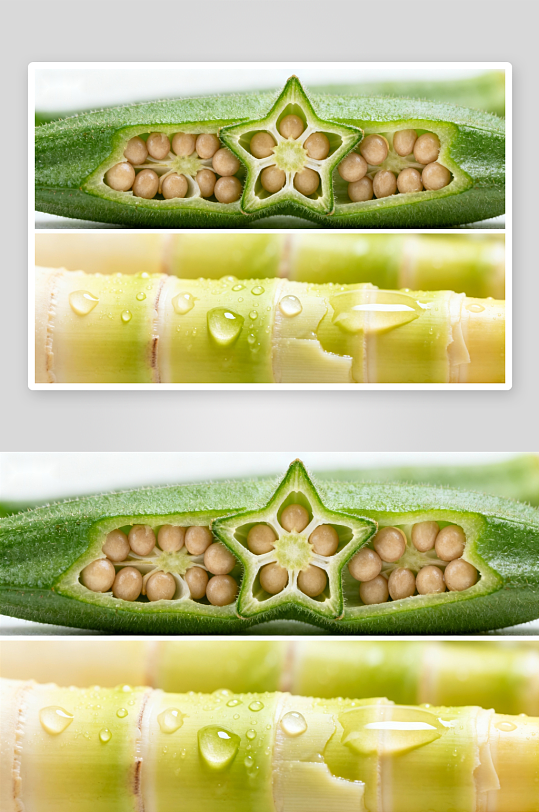 秋葵切面与甘蔗特写对比-众图网