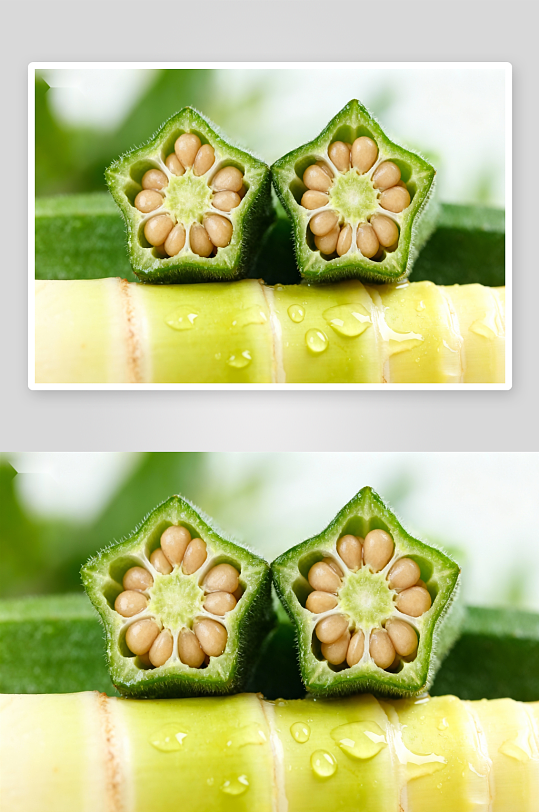 秋葵切面展示种子与纤维-众图网