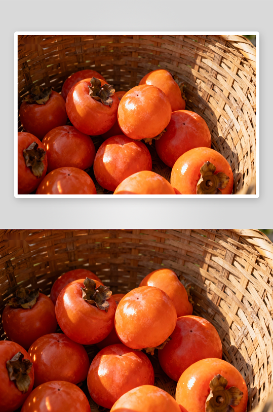竹篮盛柿子阳光照耀-众图网