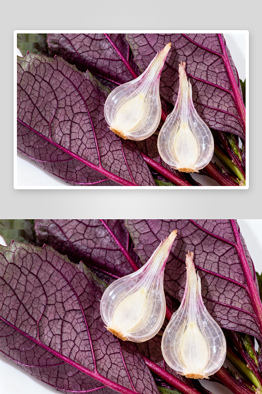 紫叶蔬菜与蒜瓣特写-众图网