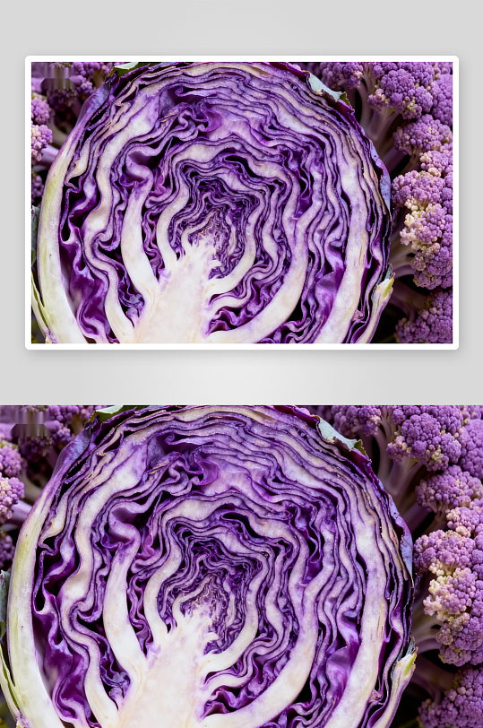 紫甘蓝与花椰菜特写-众图网