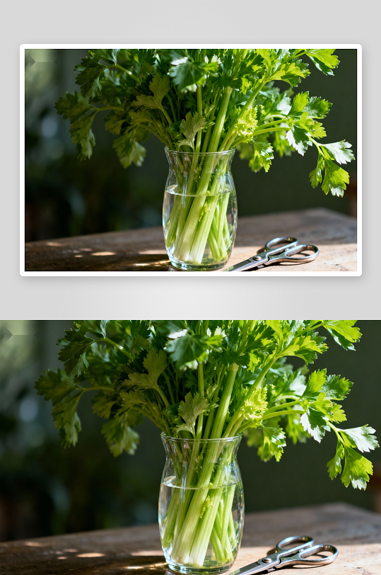 芹菜插瓶清新自然-众图网