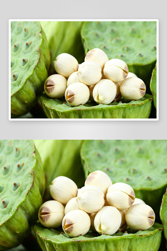 莲蓬莲子特写清新自然-众图网