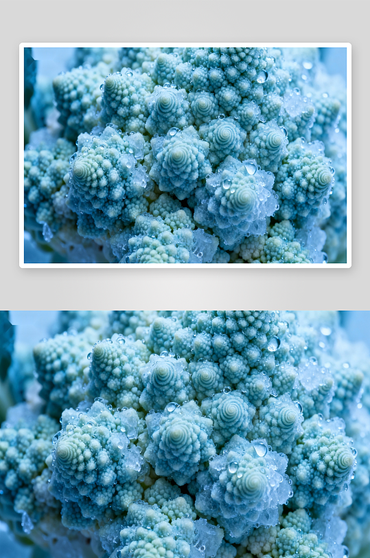 蓝绿色花椰菜特写水珠晶莹-众图网