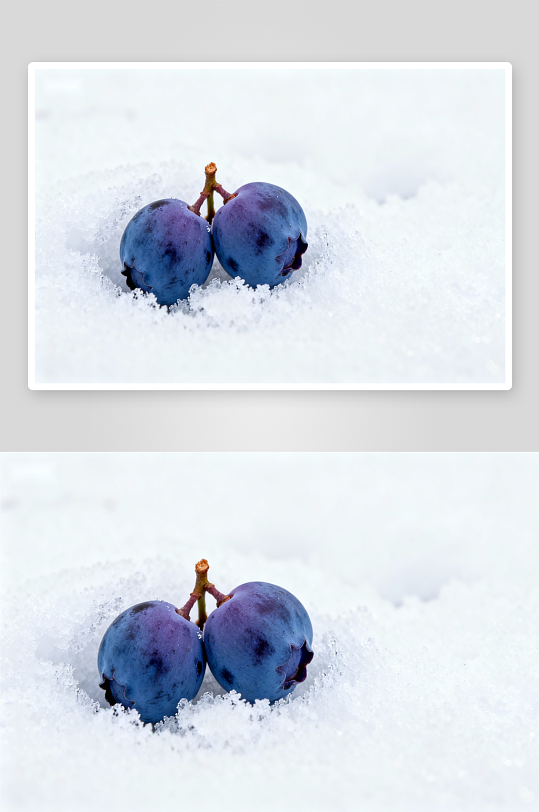 蓝莓雪地特写照片摄影-众图网