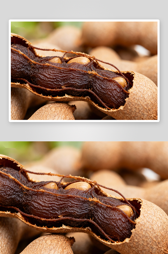 酸角果实特写展示-众图网