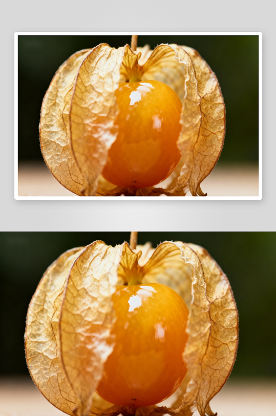 金黄色果实包裹在干果皮中-众图网