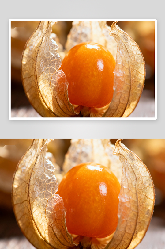 金黄色果实包裹在干枯外皮中-众图网