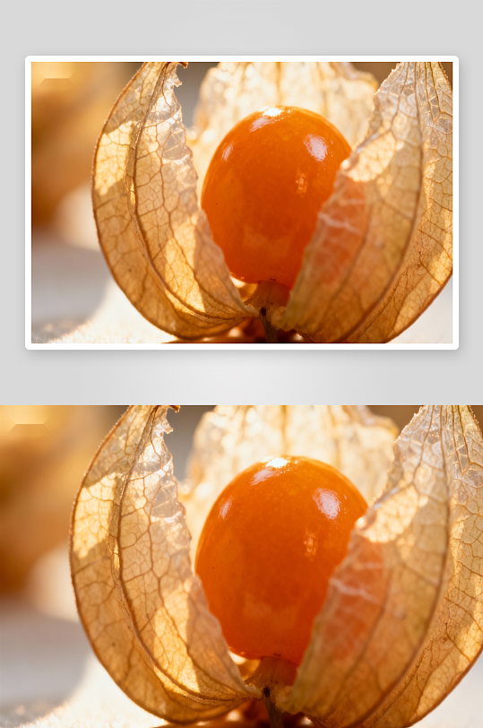 金黄色果实包裹在干枯果皮中-众图网