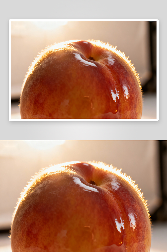 阳光下毛茸茸的桃子特写-众图网