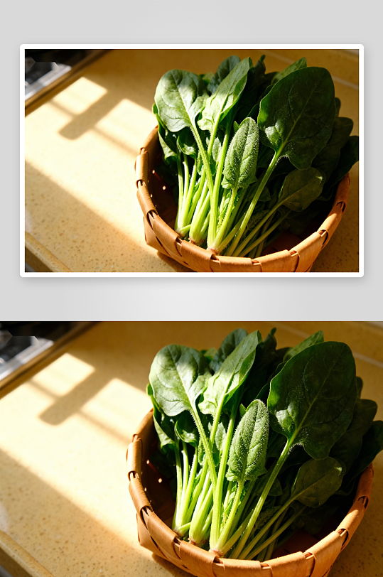 阳光下篮中新鲜菠菜-众图网