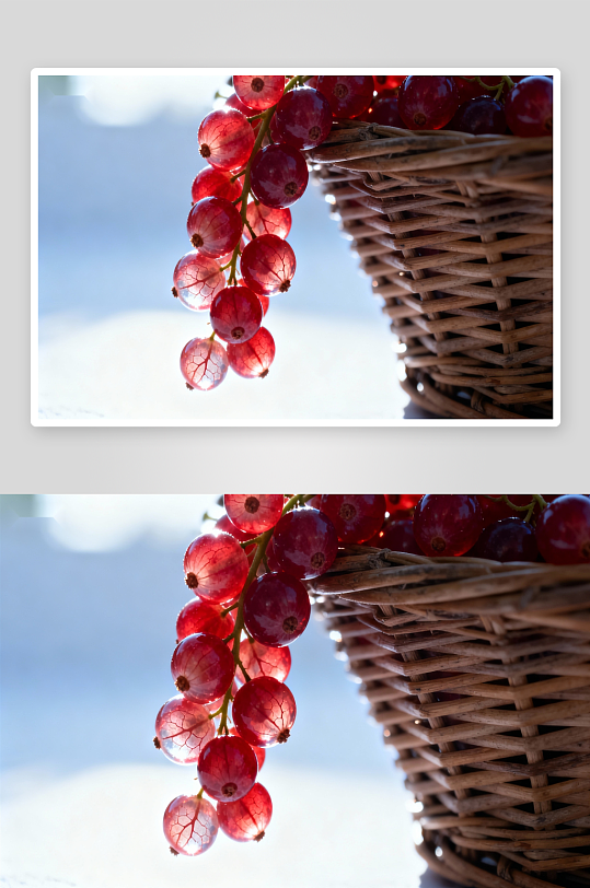 阳光下篮中红浆果晶莹剔透-众图网