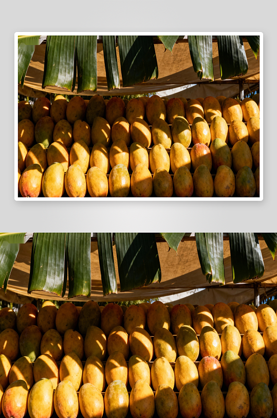 阳光下芒果摊位陈列-众图网