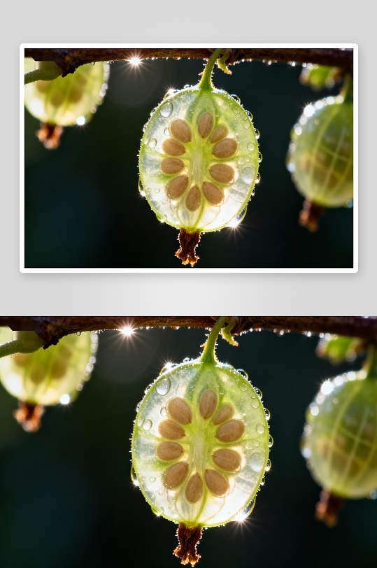 阳光下透明果实切面特写-众图网