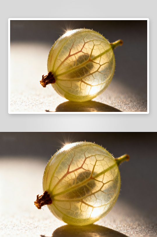 阳光下透明果皮的果实特写-众图网