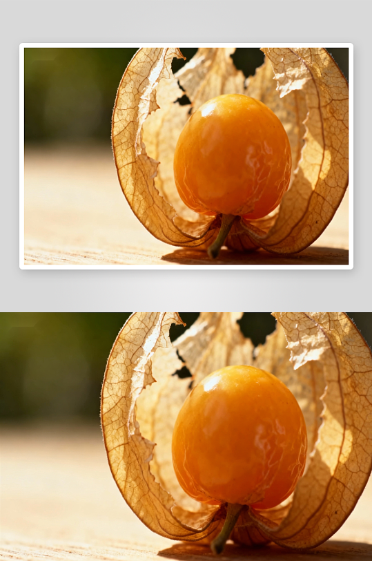 阳光下金黄色果实特写-众图网