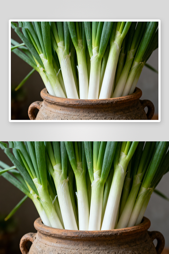 陶瓷罐中青葱特写-众图网