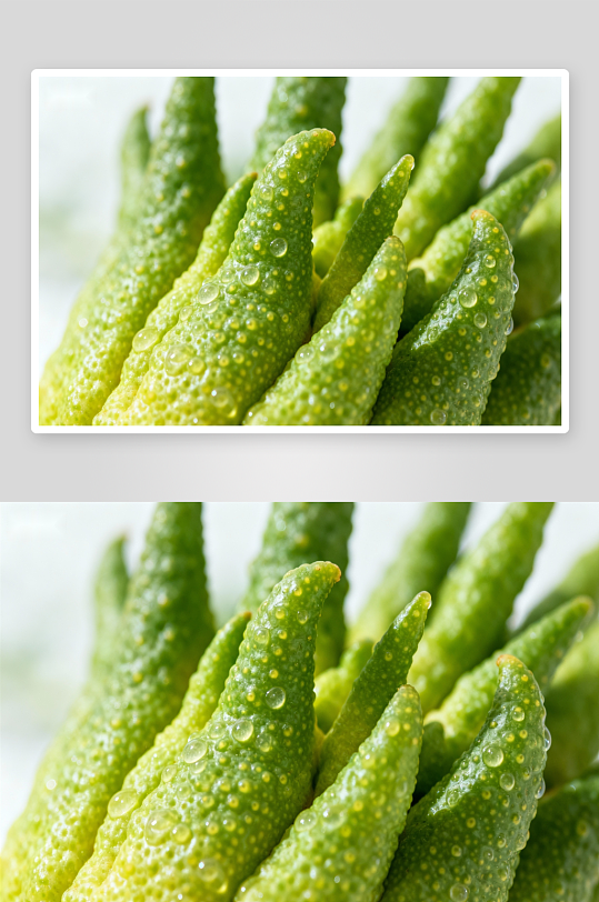 青柠果实特写水珠晶莹-众图网