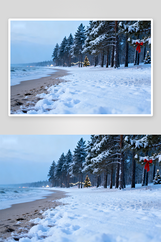 雪覆海滩圣诞树背景照片-众图网