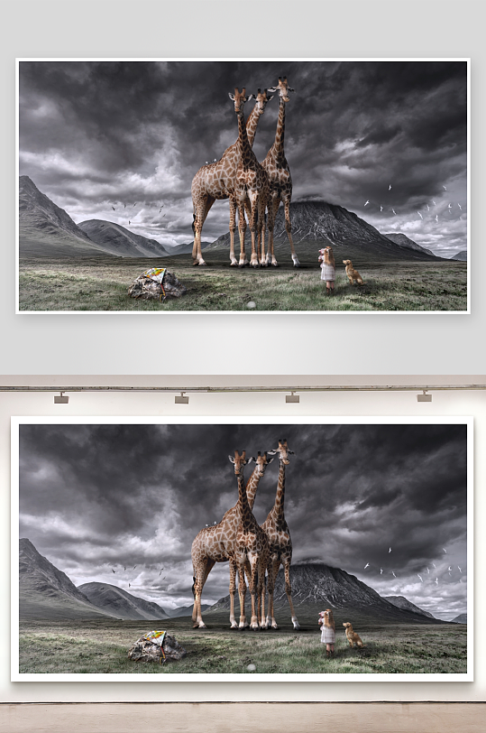 三只长颈鹿与女孩小狗同框-众图网