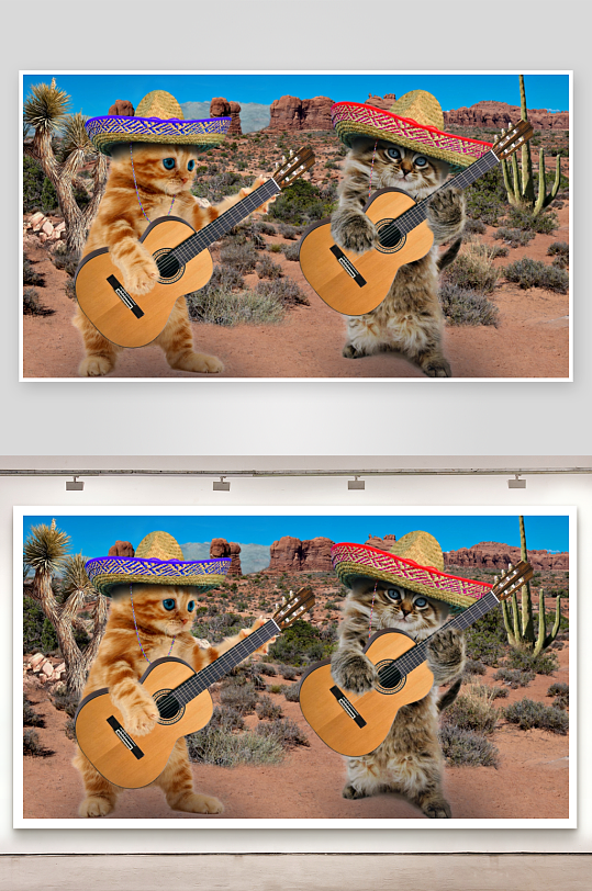 两只戴帽子弹吉他的猫咪-众图网