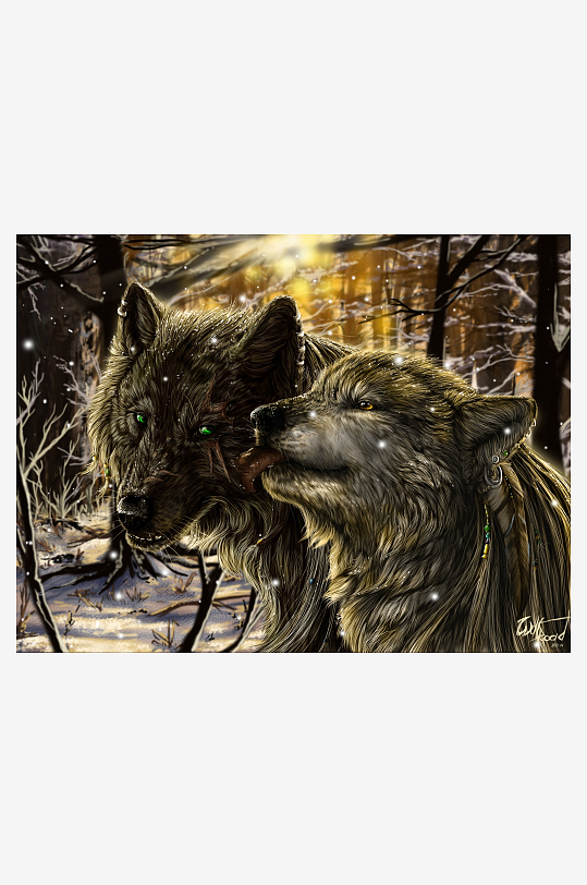 两只狼在雪夜森林中依偎-众图网