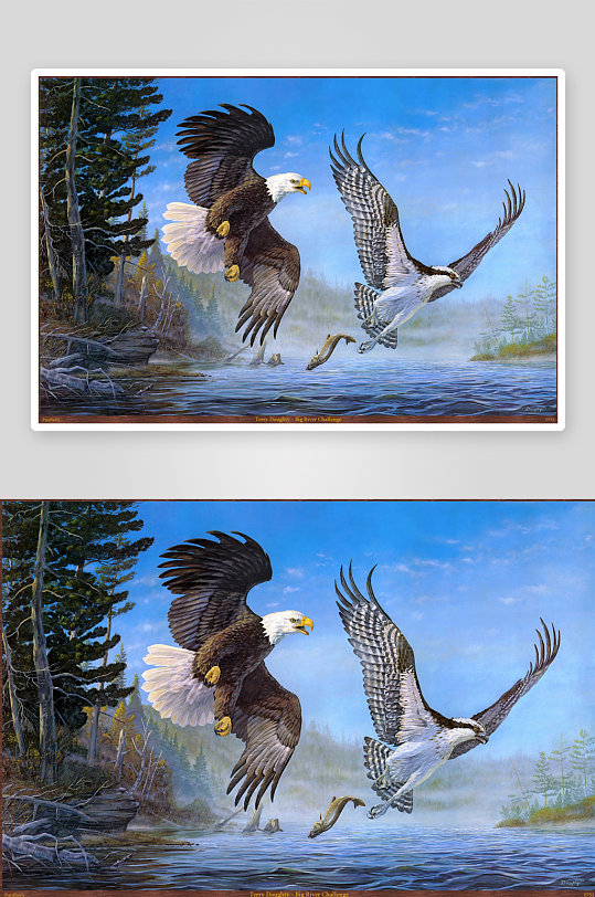 两只猛禽空中捕猎鱼-众图网