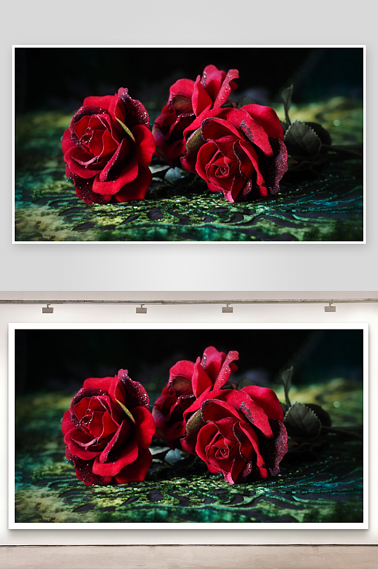 三朵红玫瑰静物特写-众图网