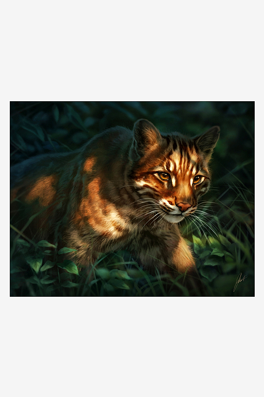 丛林中的虎猫静卧草丛-众图网