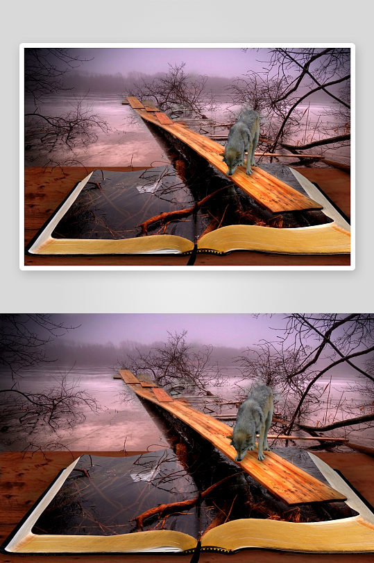 书本幻境中的狼与木桥-众图网